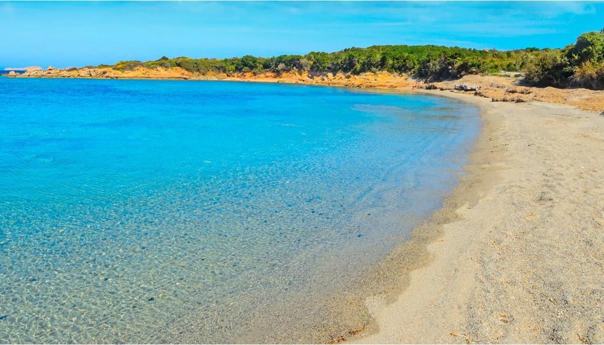 Maisonnette Climatisee A 35M De La Plage De La Capte Hyeres Villa Esterno foto